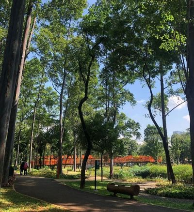 5 Aktivitas Seru di Tebet Eco Park, Tempat Nongkrong Asri di Tengah Jakarta