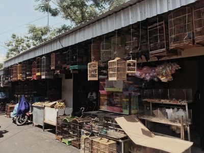 Mengulik Pesona Keunikan Pasar Spelindid Kota Malang, Cocok Buat yang Suka Berkebun dan Pelihara Hewan