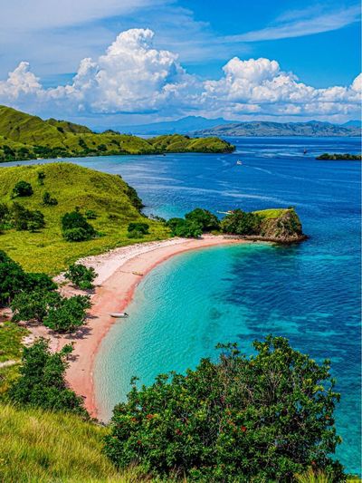 Mengenal Keindahan Pink Beach di Pulau Komodo, Destinasi yang Wajib Kamu Kunjungi!