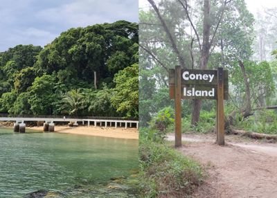 3 Rekomendasi Wisata Hidden Gem Singapura, Pecinta Satwa Burung Merapat!