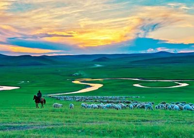 Indahnya Hamparan Rumput 1.200 Meter di Hulunbuir Prairie China, Viewnya Bikin Adem