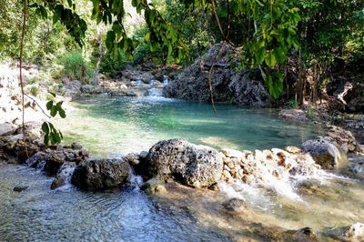 Kolam Alami Lihu Nunu, Tempat Pemandian Favorit di Tengah Panasnya Kota Kupang NTT