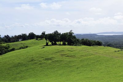 Cocok Jadi Tempat Healing, Bukit Danau Fulak Rote Suguhkan Bentangan Alam dan Lembah Nan Hijau yang Menyegarkan Mata