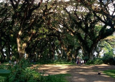 Libur Waisak, Destinasi di Banyuwangi Penuh Sesak