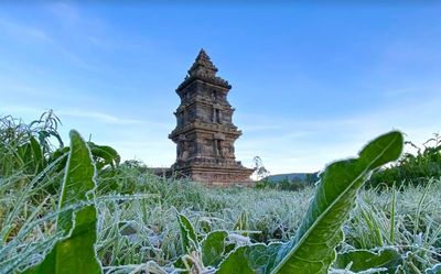 Embun Es Kembali Selimuti Dieng: Yuk, Intip Keindahannya!