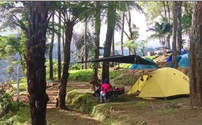 Benjor Pine Camping Ground, Wisata Hidden Gem Malang yang Bikin Betah Pengunjung Hanya 10K