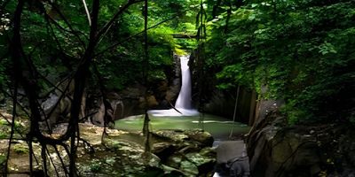 Curug Glanang: Permata Tersembunyi di Hutan Temanggung yang Menantang Petualang