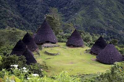 Wae Rebo: Keajaiban Adat yang Menyentuh Langit di Ketinggian Manggarai