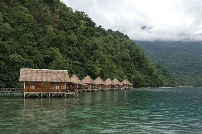 Rekomendasi Tempat Wisata di Maluku yang Bisa Snorkeling dan Diving: Jelajahi Dunia Bawah Laut yang Kaya Warna