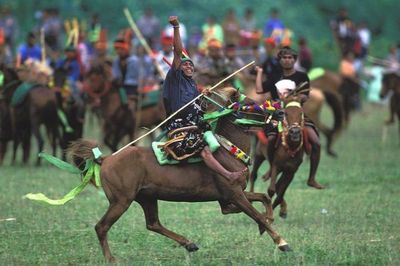Mengenal Tradisi dan Keberagaman Festival Pasola di Sumba