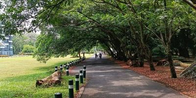 Liburan Low Budget di Kebun Raya Purwodadi Bersama Teman ala Gen Z: Tips and Trick