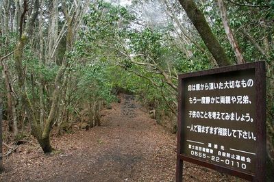 Mengungkap Sisi Gelap Jepang di Hutan Bunuh Diri Aokigahara