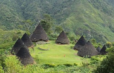 Wae Rebo, Desa Adat Eksotis di NTT yang Dijuluki Kampung di Atas Awan