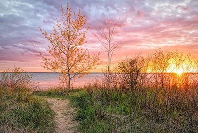 5 Kota Kecil Paling Indah di Michigan, Ada Tawas yang Punya Mercusuar Bersejarah!