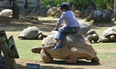 5 Tempat Liburan Seru di Depok Healing Sekeluarga yang Dekat-dekat Aja
