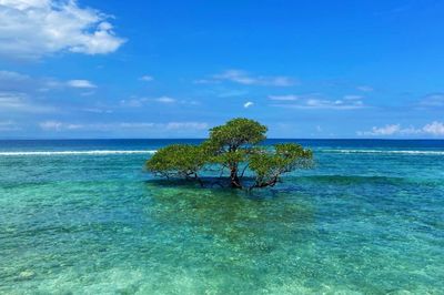 Menelusuri Ekowisata Gili Trawangan, Destinasi Eksotis yang Tersembunyi di Nusa Tenggara Barat