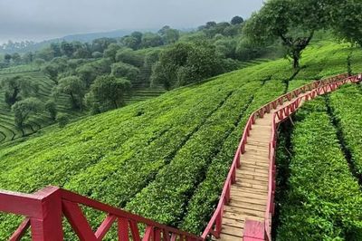 9 Tempat Wisata yang Murah di Malang, Cocok untuk Keluarga!