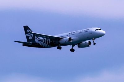 23 Daftar Maskapai Teraman di Dunia 2025, Air New Zealand Kembali Jadi Juara