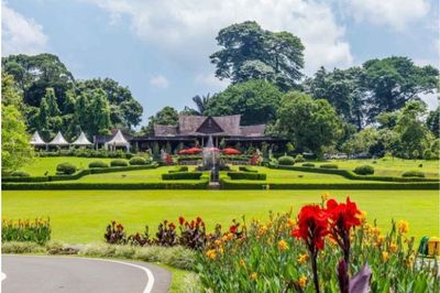 5 Rekomendasi Wisata Seru di Bogor untuk Habiskan Cuti Bareng Keluarga