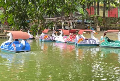 Jadi Destinasi Wisata Keluarga, Apa yang Bisa Dinikmati di Taman Lele Semarang