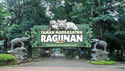 Hore! Taman Margasatwa Ragunan Tambah Jam Operasional Malam Hari untuk yang Ingin Jogging