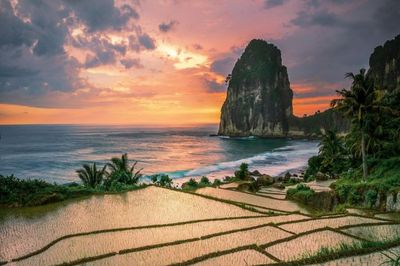 6 Tempat Wisata Terbaik di Pacitan yang Sayang Dilewatkan untuk Liburan