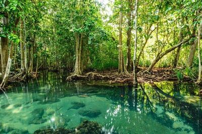 8 Tempat Wisata di Demak Terbaru 2025 Cocok Untuk Liburan