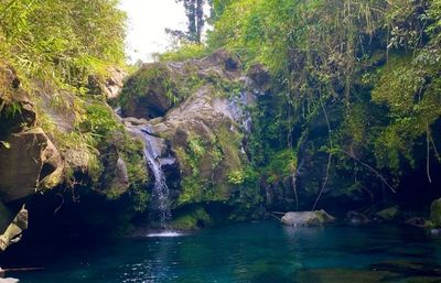 7 Tempat Wisata di Banyumas yang Sedang Hits dan Instagramable