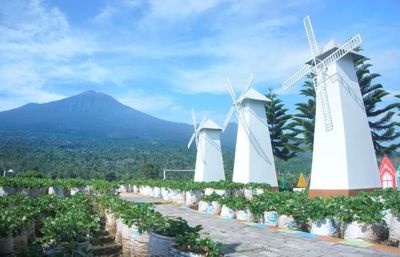 7 Tempat Wisata di Randudongkal Pemalang yang Lagi Hits