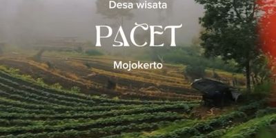 8 Tempat Wisata di Pacet Mojokerto yang Cocok Untuk Liburan