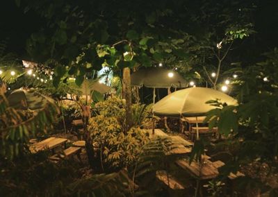 3 Wisata Wonosalam yang Cocok Buat Kamu Healing