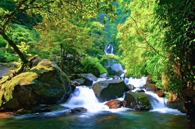 6 Wisata Curug di Bogor yang Wajib Dikunjungi saat Liburan