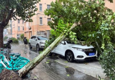 Topan Bikin Liburan Kacau! Beijing Tutup Akses, Jadwal Kereta Kena Dampak
