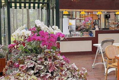 6 Cafe di Lembang Paling Instagramable Terbaru 2025, Feed Auto Estetik!