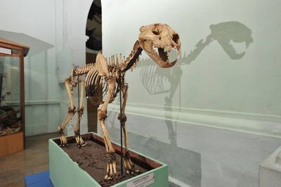 Mau Liburan Sekaligus Tambah Ilmu? Susuri 5 Museum Terkenal di Bogor Ini Yuk