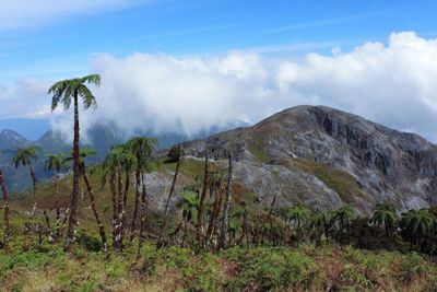 Balai TN Manusela Tutup Sementara Jalur Wisata Gunung Binaiya Buntut Pendaki Hilang