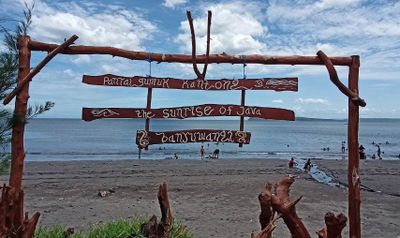 Liburan Seru ke Gumuk Kantong, Bisa Lihat Penyu Bertelur dan Lepasin Tukik!