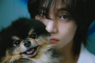V BTS Syuting Bareng Anjing Kesayangan di MV Rainy Days , Visual nya Gak Main-main!