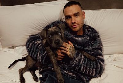 Lirik Teardrops : Lagu Terakhir Liam Payne Sebelum Meninggal Dunia