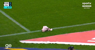 Insiden Tak Terduga di Derby Paulista, Suporter Lempar Kepala Babi ke Tepi Lapangan