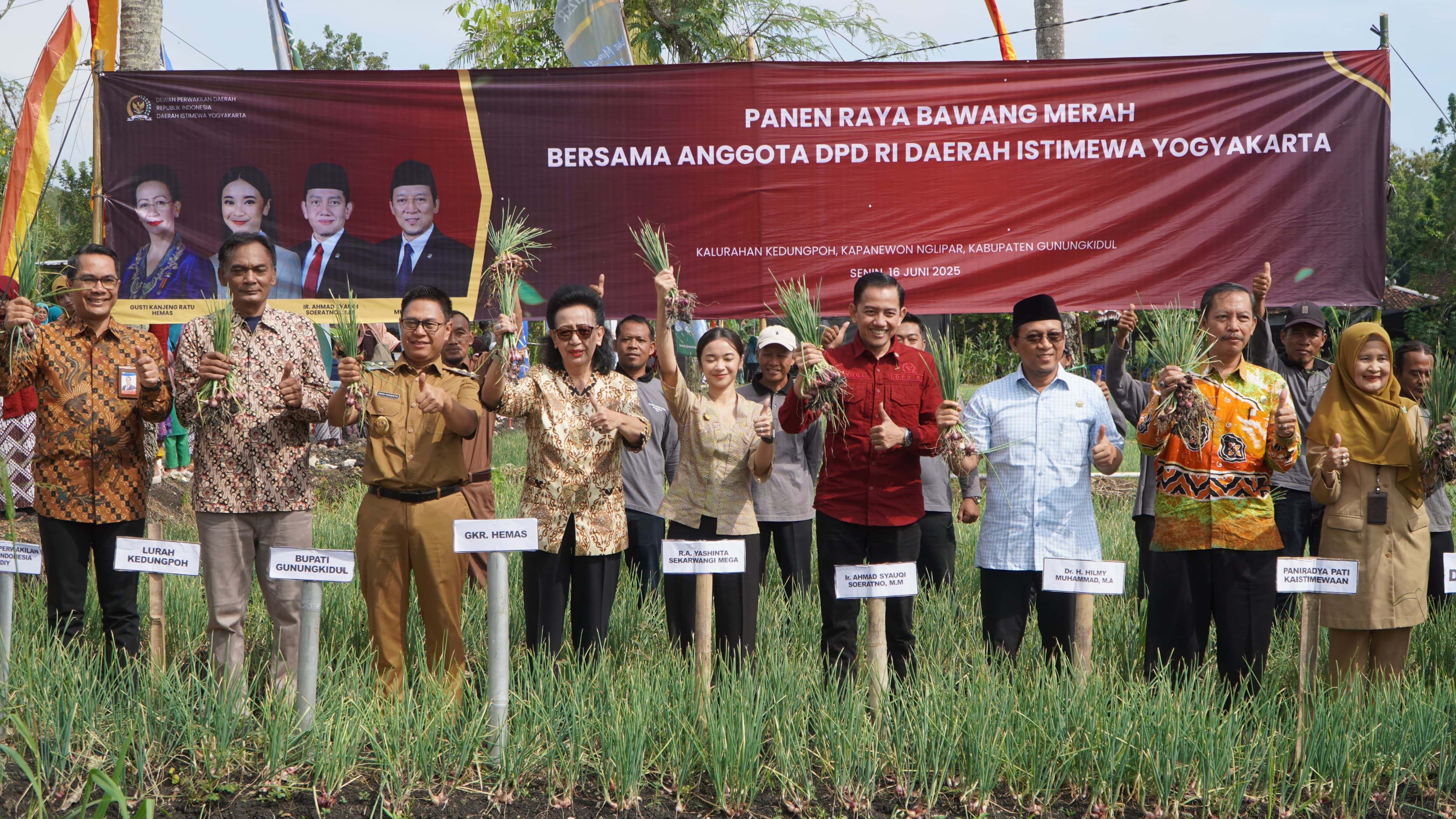 DPD RI Apresiasi Panen Bawang Merah di Gunungkidul, Ini Katanya