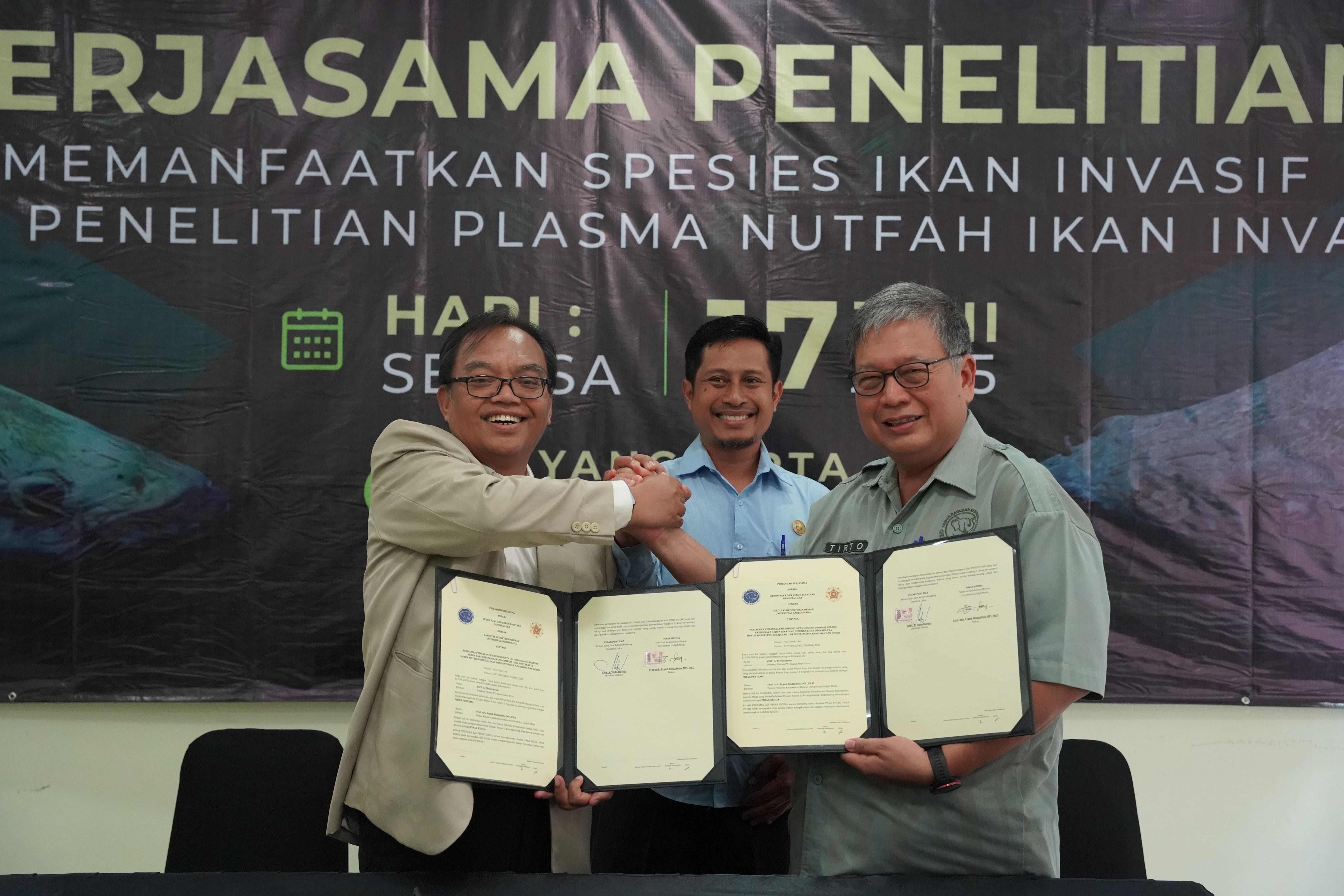 UGM Gandeng GL Zoo Kerja Sama Riset Plasma Nutfah Spesies Ikan Invasif dan Burung Unta