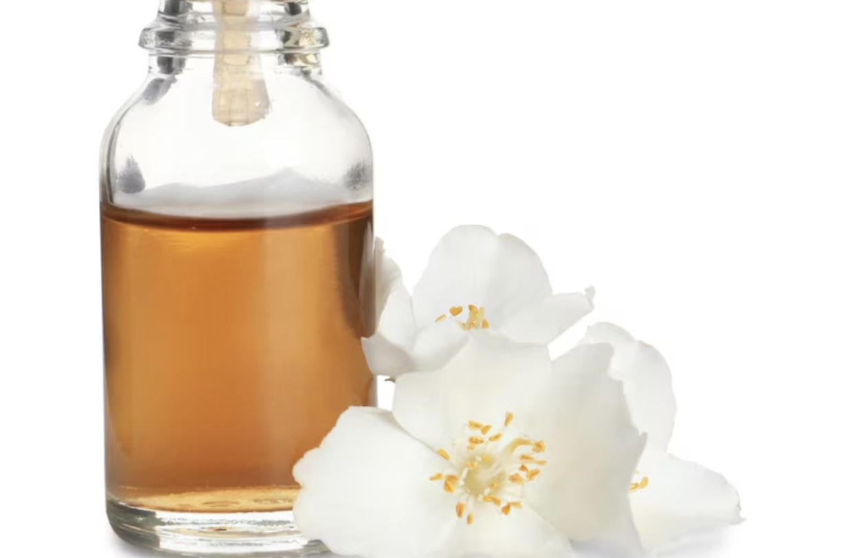 17 Ide Nama Usaha Parfum Bunga Magnolia yang Elegan, Wangi, dan Kekinian Banget!