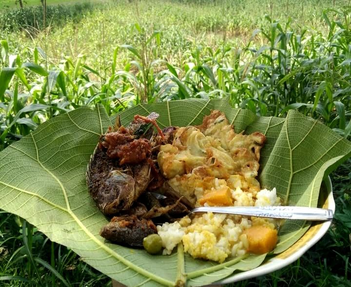 Warung Semok: Sensasi Makan Ikan Gloso Sambal Kemangi di Tengah Hutan Jati Bojonegoro