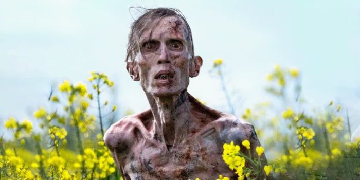 7 Rekomendasi Film Horor Barat Terbaru 2025: Siap Bikin Merinding!