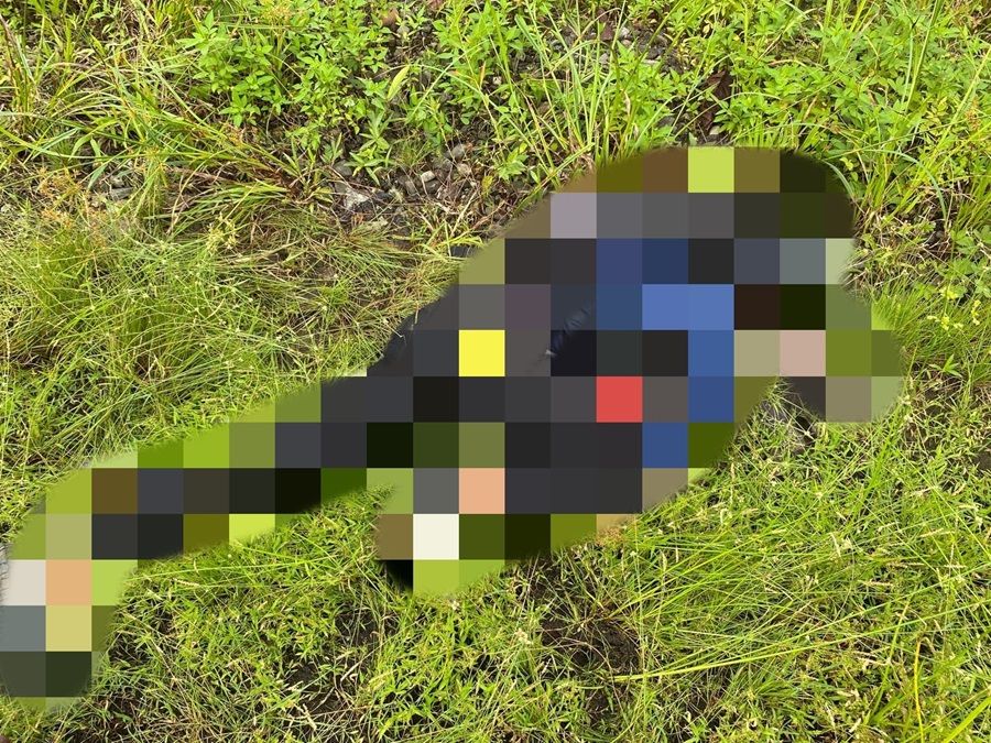 Pegawai Honorer Pemkab Yahukimo Tewas Mengenaskan Usia Dibantai KKB