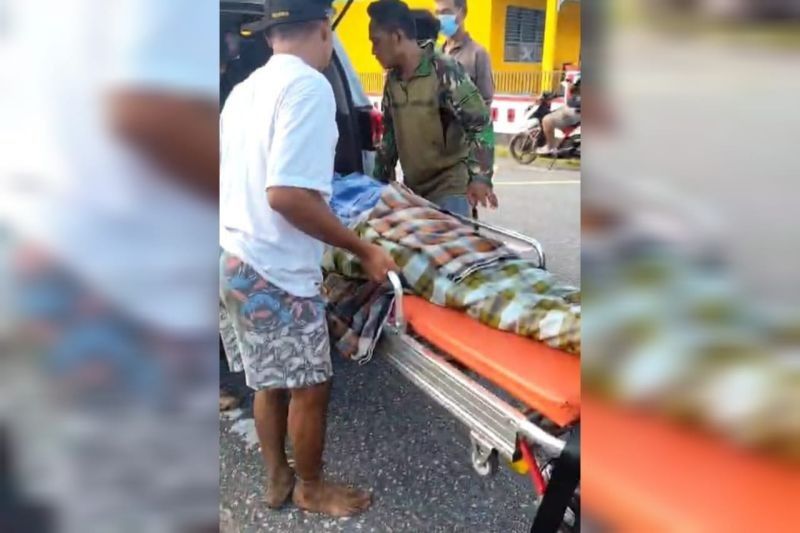 Kronologi Warga Buton Selatan Tewas Ditelan Ular Sepanjang 8 Meter: Ngeri!