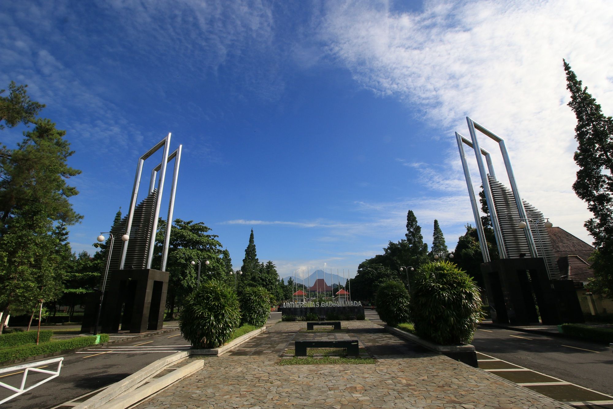 Generasi Z Paling Banyak Gunakan AI, Guru Besar UGM Ingatkan Risiko Ini
