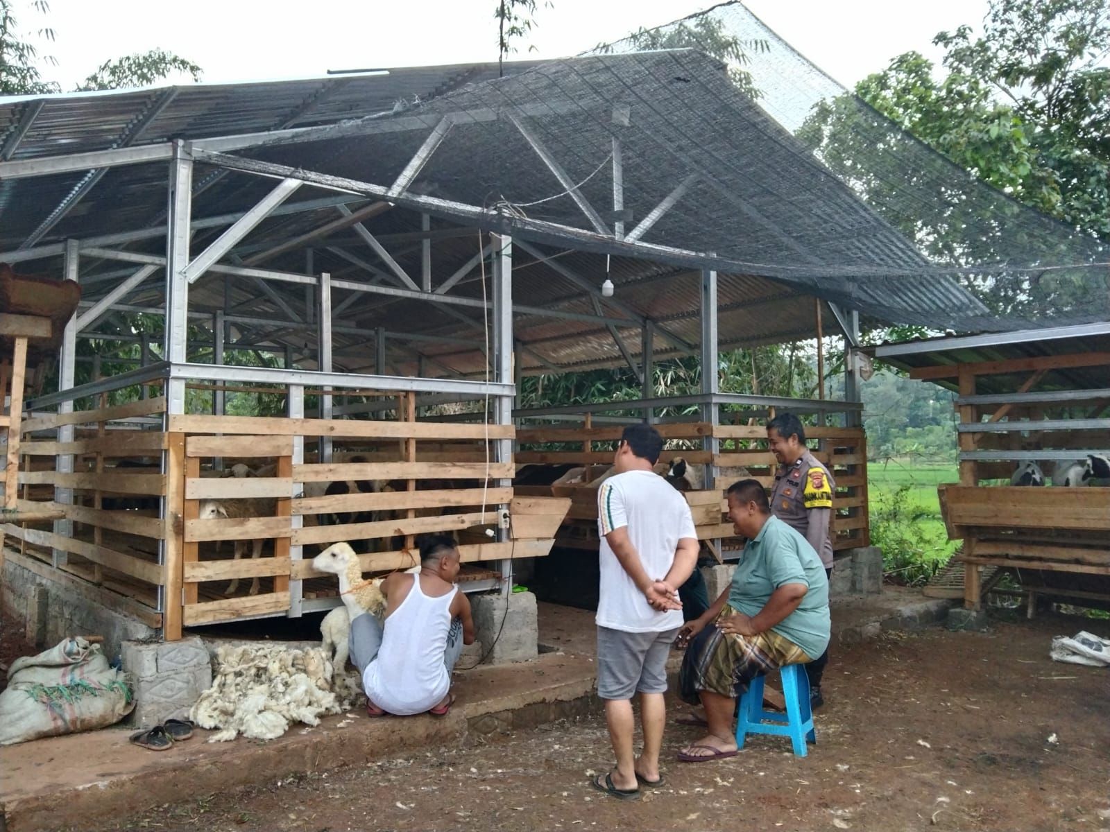 Dukung Progam Ketahanan Pangan, Polsek Plered Sambangi Peternak Domba
