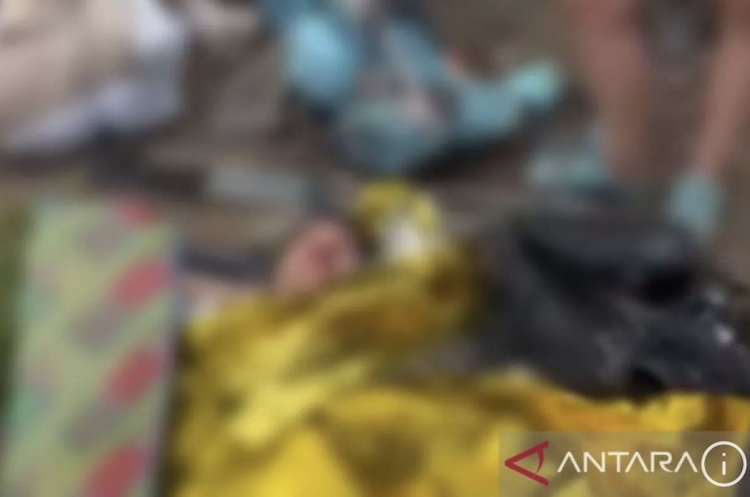 Tim SAR Masih Usaha Selamatkan Turis Swiss yang Jatuh di Gunung Rinjani